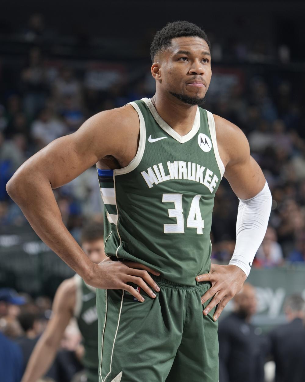 迷购买的热 迷购买的热